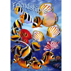 STEVE SUNDRAM GREETING CARD Tropical Fish